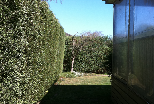 Hedge Maintenance in Macedon