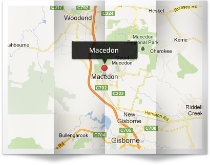 Macedon Tree Removal Company